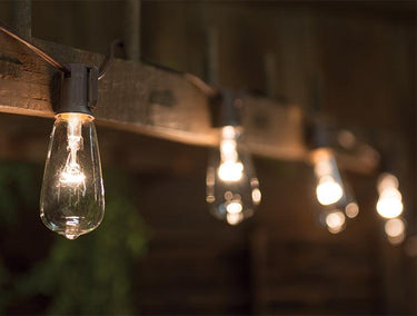 Clear Edison Light Strand, 10 ct. - The Fox Decor